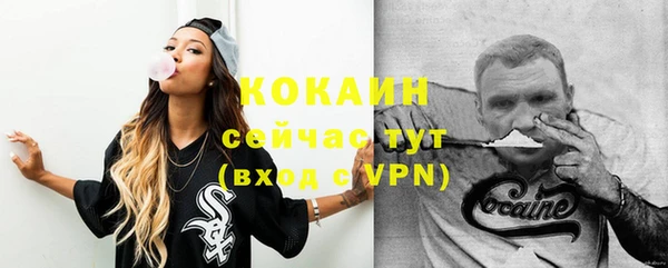 шишки Балахна