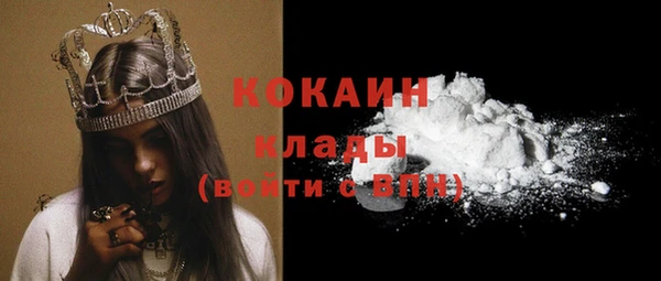 шишки Балахна