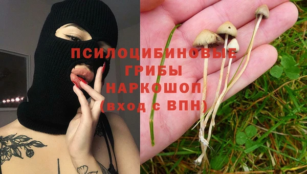 шишки Балахна