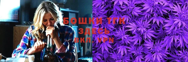 шишки Балахна