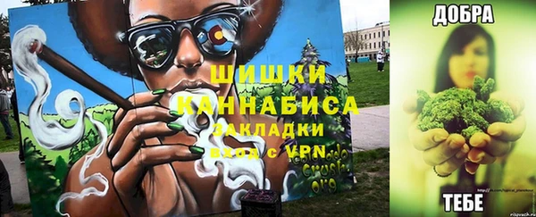 шишки Балахна